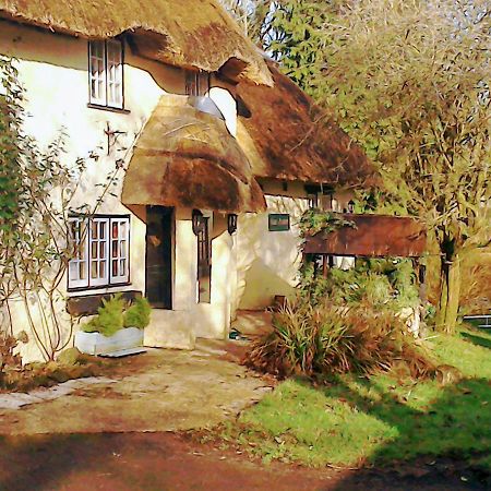 The Crown Inn Alvediston Extérieur photo