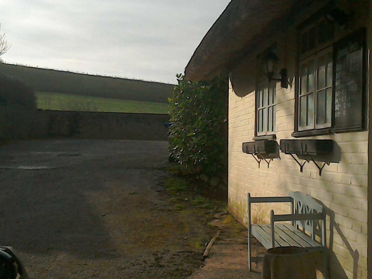 The Crown Inn Alvediston Extérieur photo