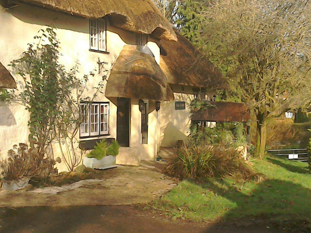 The Crown Inn Alvediston Extérieur photo