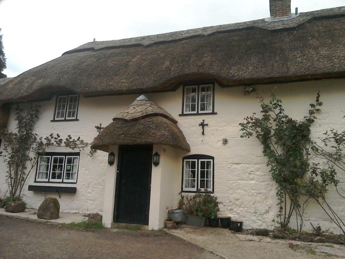 The Crown Inn Alvediston Extérieur photo