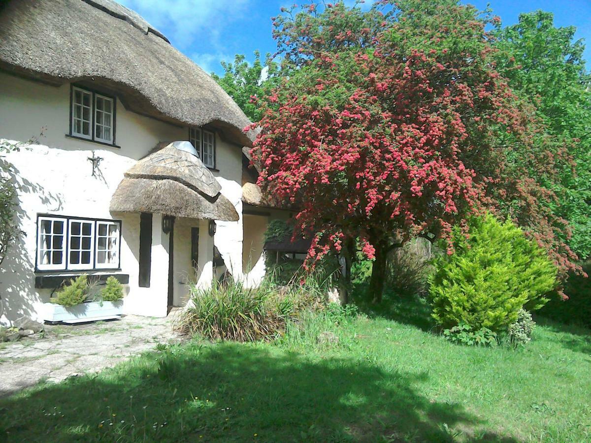 The Crown Inn Alvediston Extérieur photo