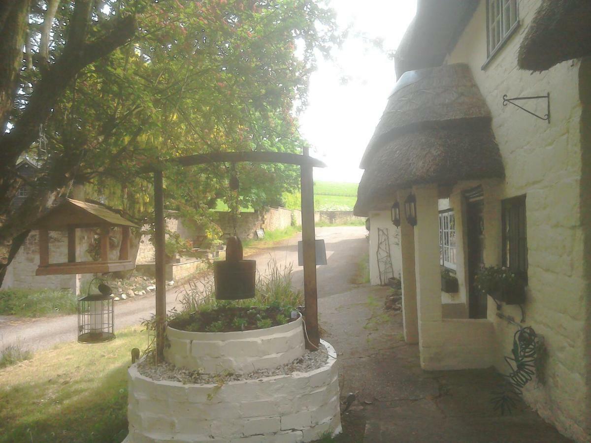 The Crown Inn Alvediston Extérieur photo