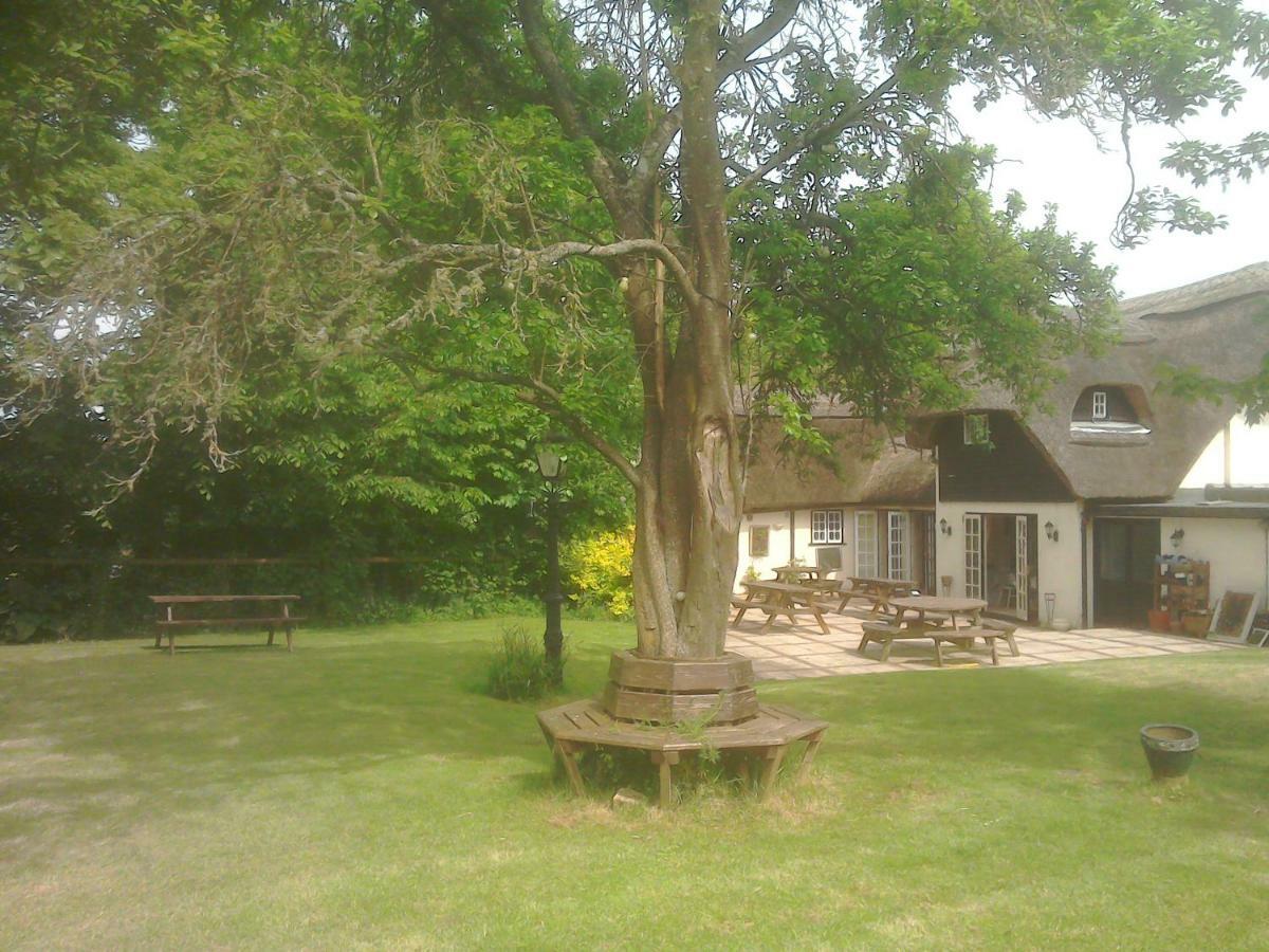The Crown Inn Alvediston Extérieur photo